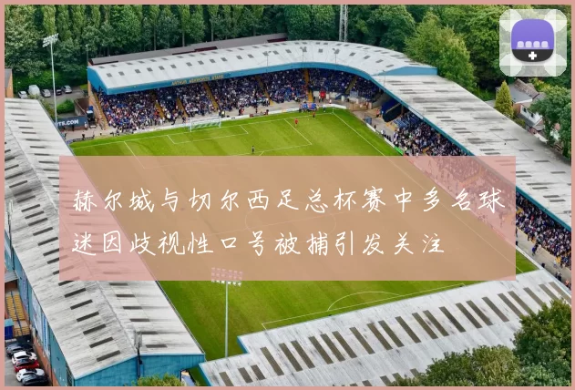 赫尔城与切尔西足总杯赛中多名球迷因歧视性口号被捕引发关注