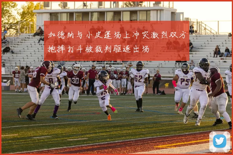 加德纳与小皮蓬场上冲突激烈双方抱摔打斗被裁判驱逐出场